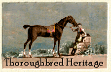 Thoroughbred heritage