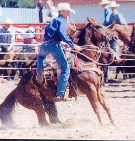 Calf Roping